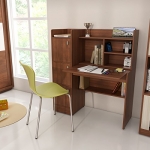 Spacewood Winner Engineered Wood Study Desk (Walnut Finish,Walnut Rigato)