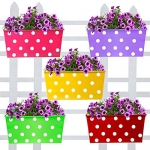 Trustbasket Rectangular Dotted Balcony Railing Garden Flower Pots/Planters – Set Of 5