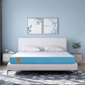 Springwel Easy Pureortho Balance Pro 6 Inch Queen Size Mattress (Size- 72X60X6 Inches)